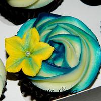 Turquoise cupcakes