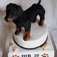 Dog cake...