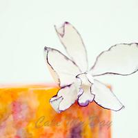 Watercolour with Cattleya Orchids