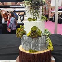 Cake international London 2017 succulent wedding cake