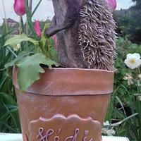 Hedgehog in the pot