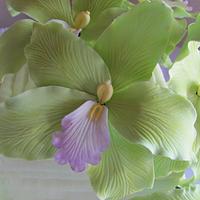 Green Orchid Pleated cake