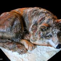 Wolf Cake - cake by Hannah - CakesDecor