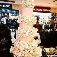 8-Tier Wedding Cake