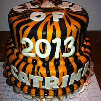 Black and Orange Zebra Cake