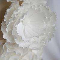 Lace & Ruffle Wedding Cake by Mericakes
