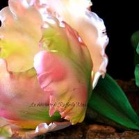 parrot tulip and butterfly