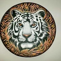 White Tiger-Tigre Blanco