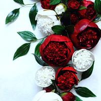 RED&WHITE CHARM PEONIES