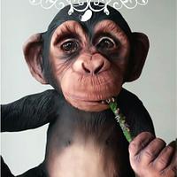Monty The Chimp!!