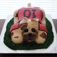 Doggie Cake