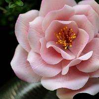 Gumpaste Open (baby pink)Rose 