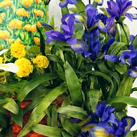 Primavera con Arte - Spring with Art Collaboration  - Van Gogh's Irises