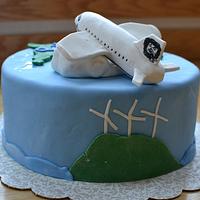 Farewell Plane Cake