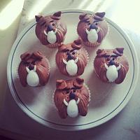 Bulldog Cupcakes