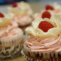 Raspberry Cheesecupcakes