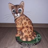 Bengal cat - 3D cake