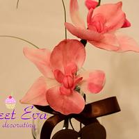 Sweet orchid