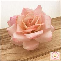 Wafer paper garden rose