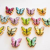Hand Painted Butterfly Cookies 
