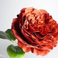 Gumpaste red rose