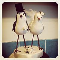 Chocolate and white wedding cake with birds topper