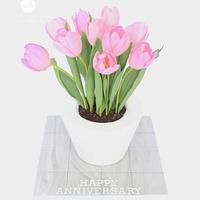 Pot of tulips