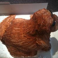 dog cake 