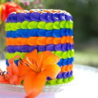 Colorful Summer Petal Cake