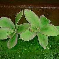 Green Orchids cake
