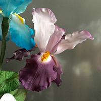 Iris and airbrush 