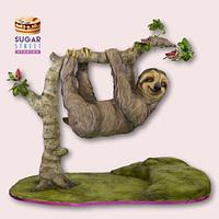 Hanging Sloth Cake!