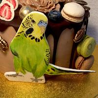 naked cake with parakeet