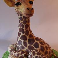 Gerard the giraffe 