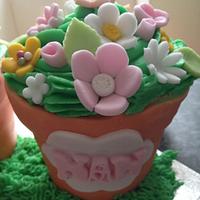 Flower pot cakes 