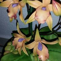 Fantasy Orchids....
