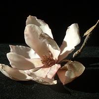 Sugarpaste magnolia