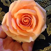 Graduated Colour Sugar rose