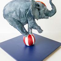 Balancing Elephant Cake!
