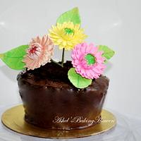 "Chocolate Flower Pot with gerbera daisies!!!