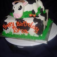 cow cake