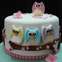 Twit Twoo Owl Cake