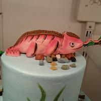 Chameleon cake