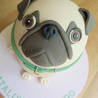 Pug dog Pug dog