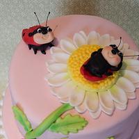 Little relaxing Ladybird Daisy cake