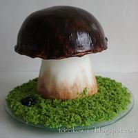 Fungus Cake