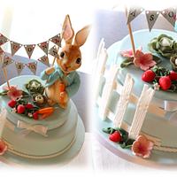 Peter Rabbit cake (Beatrix Potter)