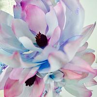 Magnolias and Hydrangeas turn watercolor