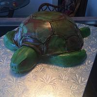 Turtle cake