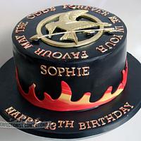 Sophie - Hunger Games Birthday Cake 